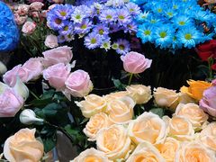 -爱尚幸福鲜花(上地实体店)