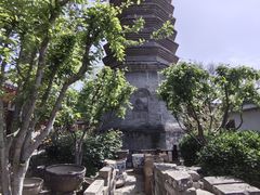 -正阳书局(西四南大街店)
