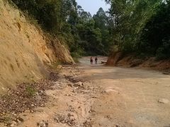 路面-火炉山森林公园
