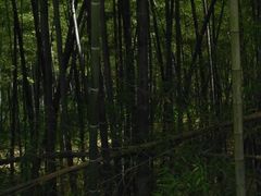 -天下玉苑