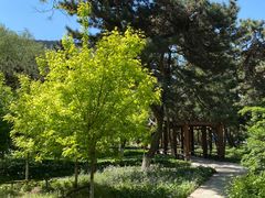 -东北大学(南湖校区)