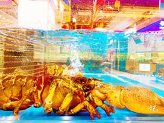 波士顿龙虾-盒马X会员店(王府井奥莱UP TOWN店)