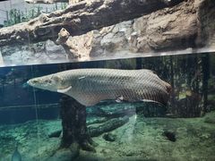 -鹿儿岛水族馆