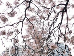 -红星桥(地铁站)