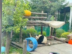 -大连森林动物园