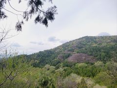 -北京十三陵国家森林公园蟒山景区
