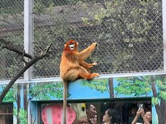 -西安秦岭野生动物园