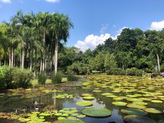 -中国科学院西双版纳热带植物园