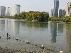 -天鹅湖体育公园