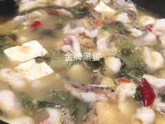 -越城记黑鱼煲(万达店)