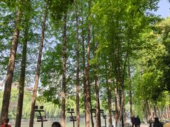 -西湖文化广场