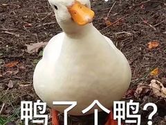 -闻酥园(大慈寺店)