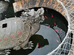 -石岛赤山风景区