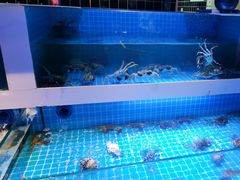 -花西亭·海鲜自助餐厅(瑞城名人酒店)