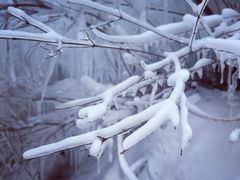 -大平台龙居瀑布旅游区