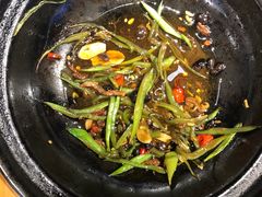 -鸽子窝(宋庄店)