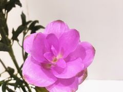 -今日陶艺(富力广场店)