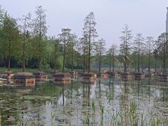 -合肥生态公园