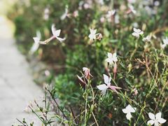 -南通博物苑-崇川人民公园