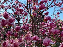 -北京西山国家森林公园