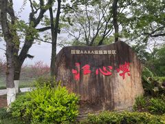 -江心屿景区
