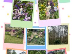 -广州市白云山风景名胜区