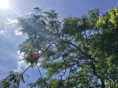 -厦门湾·白塘湾火山公园