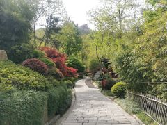 -竹子庵公园
