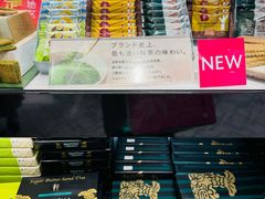 -中部国际机场