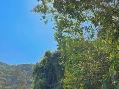 -梧桐山风景名胜区