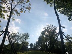 -飞凤山奥体公园