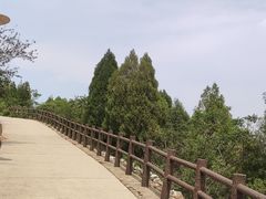 -府君山公园