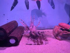 -欢乐海岸海洋奇梦馆