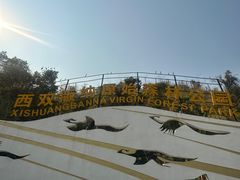 -西双版纳原始森林公园