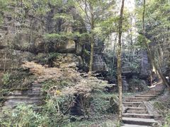 -梭布垭石林景区