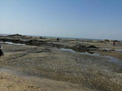 -韩记海鲜饺子(隆仁世家店)