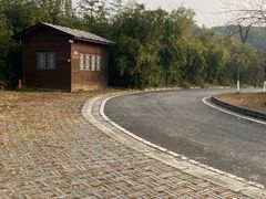 -白鹭湾湿地公园