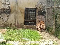-黔灵山公园