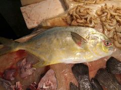 -阳江市第一市场