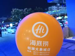 -海底捞火锅(铂澜大象城店)