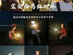 -宝安西湾红树林湿地公园