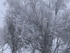-太子岭滑雪场