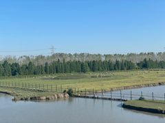 -溱湖国家湿地公园