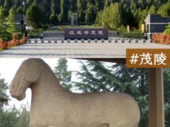-法门文化景区