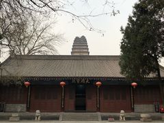 -德发长·花式蒸饺(大唐不夜城店)
