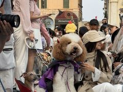 -华谊兄弟（长沙）电影小镇