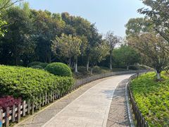 -绍兴镜湖国家城市湿地公园