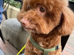 -旅马餐厅(茅家埠店)