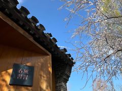-春风习习