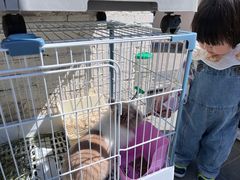 -小意思咖啡店(草桥店)